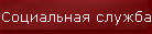 Социальная служба